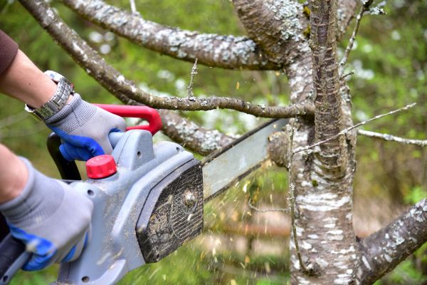 Columbia Tree Trimming